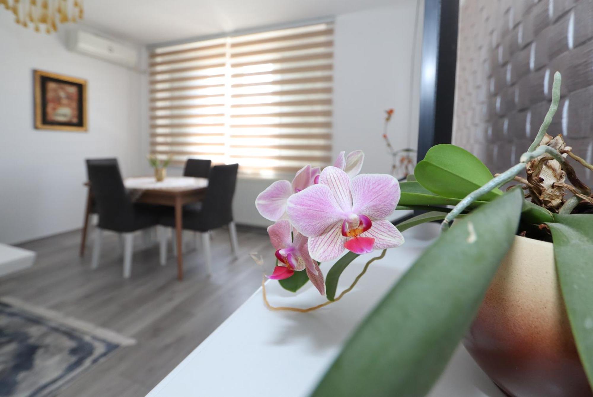 Golden Royal Apartment Крагуевац Екстериор снимка